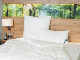 BeCo BeCo Kopfkissen »Proneem«, mit Milbenschutz, 100 % Baumwolle, gesteppt