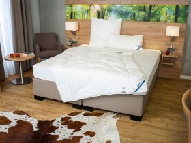 BeCo BeCo Ganzjahres-Bettdecke »Proneem«, mit Milbenschutz, 100 % Baumwolle