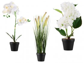 LIVARNO home Kunstpflanze Orchidee Kunstpflanze Ziergras Kunstpflanze Hortensie