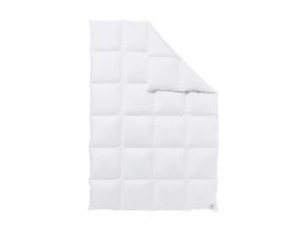 HÄUSSLING HÄUSSLING Daunen-Kassettenbettdecke, warm, hochwertig, ideal als Ganzjahresdecke