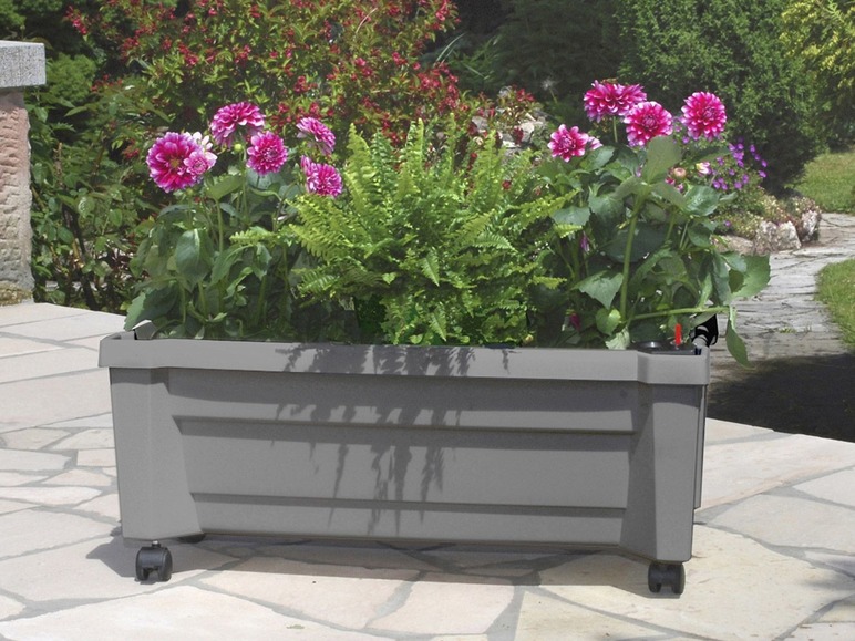 KHW KHW Calypso Pflanzkasten mit Bewässerungssystem, B 79 x T 35 x H 33 cm