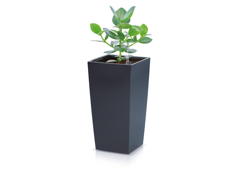 Prosperplast Prosperplast Blumentopf »Urbi Square«, mit herausnehmbarem Einsatz, aus Kunststoff