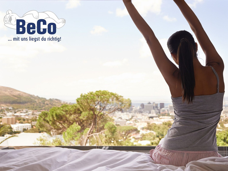 BeCo BeCo Ganzjahres-Bettdecke, Mono-Steppbett »Royal Soft«, medium