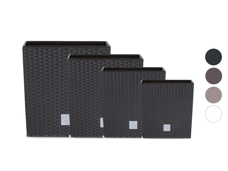 Prosperplast Pflanzkübel »Rato Low« in Rattanoptik Prosperplast Pflanzkübel »Rato Low« in Rattanoptik