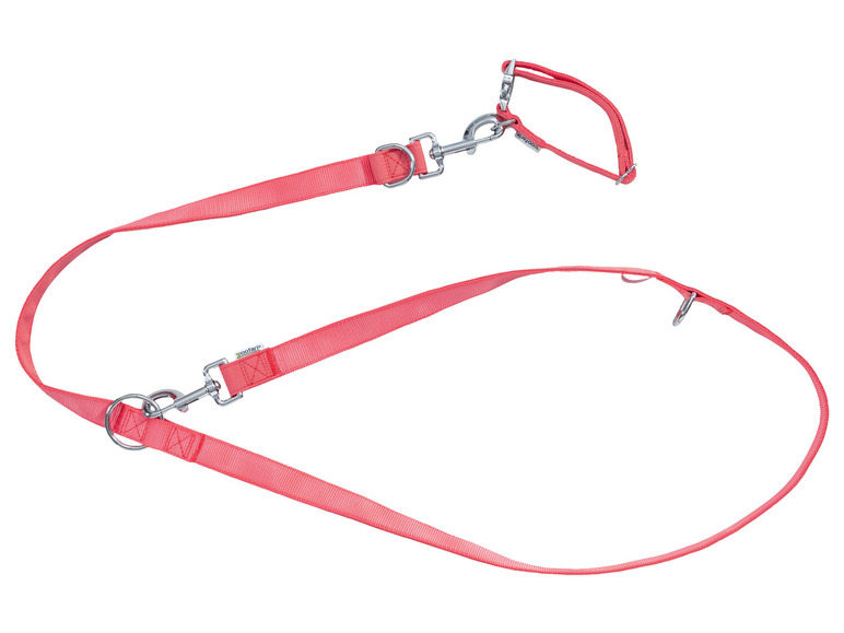 zoofari® Hundehalsband und Hundeleine