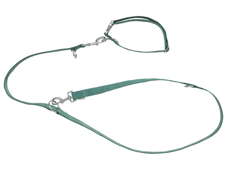 zoofari® Hundehalsband und Hundeleine