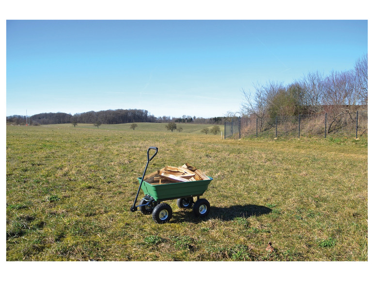 Güde Gartenwagen-Set »GGW 250«