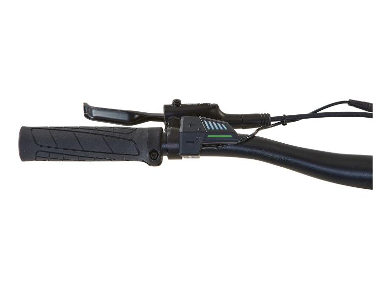 Prophete E-Bike Alu-MTB 650B 27,5 Zoll DICE 1.0