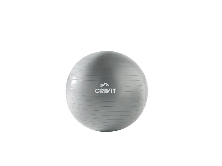 CRIVIT Balance Board / Soft Gymnastikball / Fitnessband-Set
