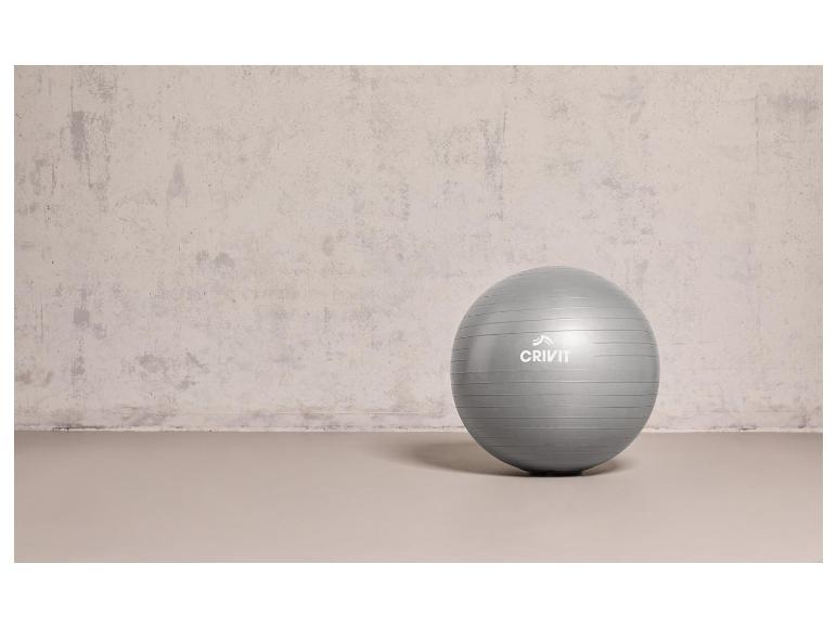 CRIVIT Balance Board / Soft Gymnastikball / Fitnessband-Set
