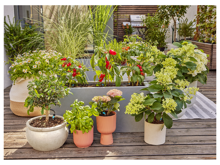 Gardena Tropfbewässerung Set »Micro-Drip-System«, wassersparend