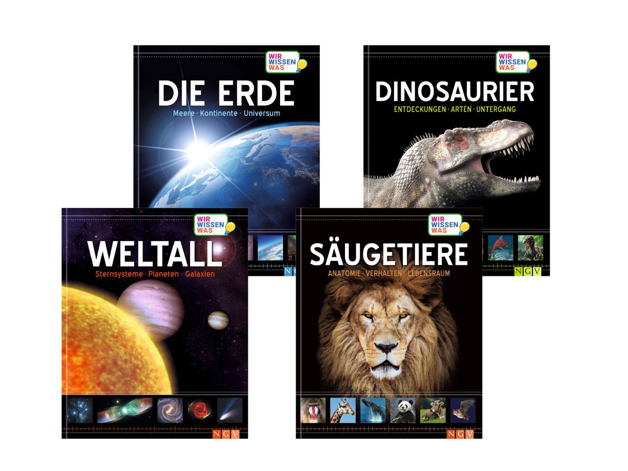 WIssensbuch